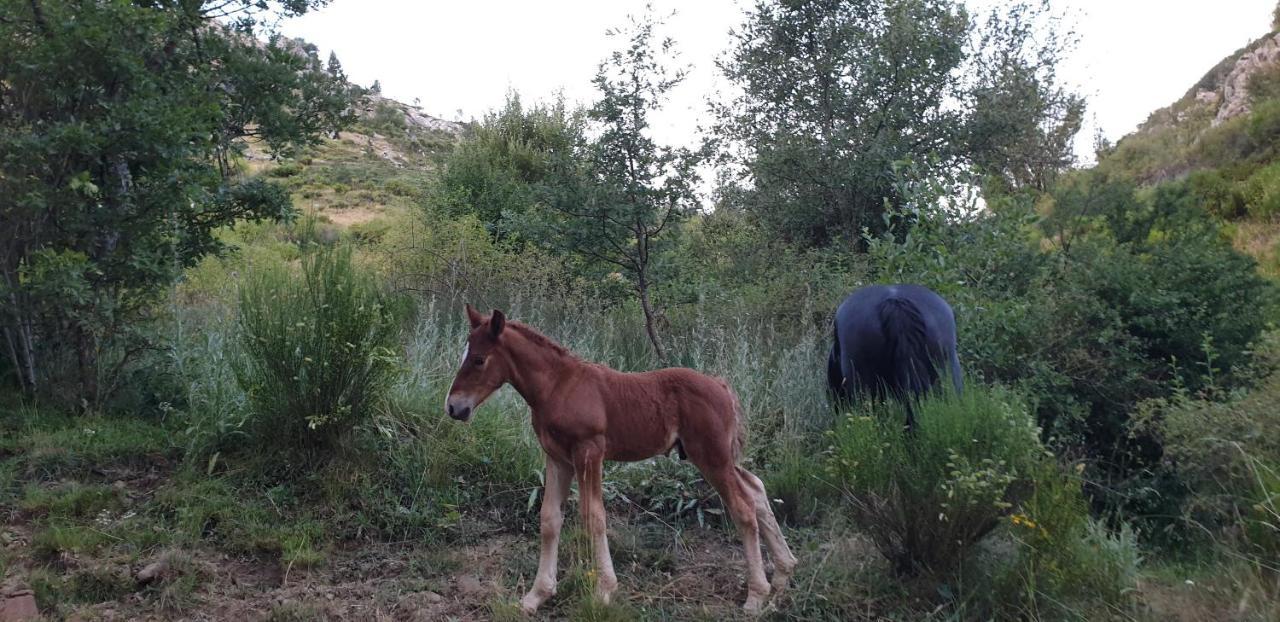 Casa Rural Carmen Luna Mallo de Luna Екстер'єр фото